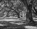 Image Not Available